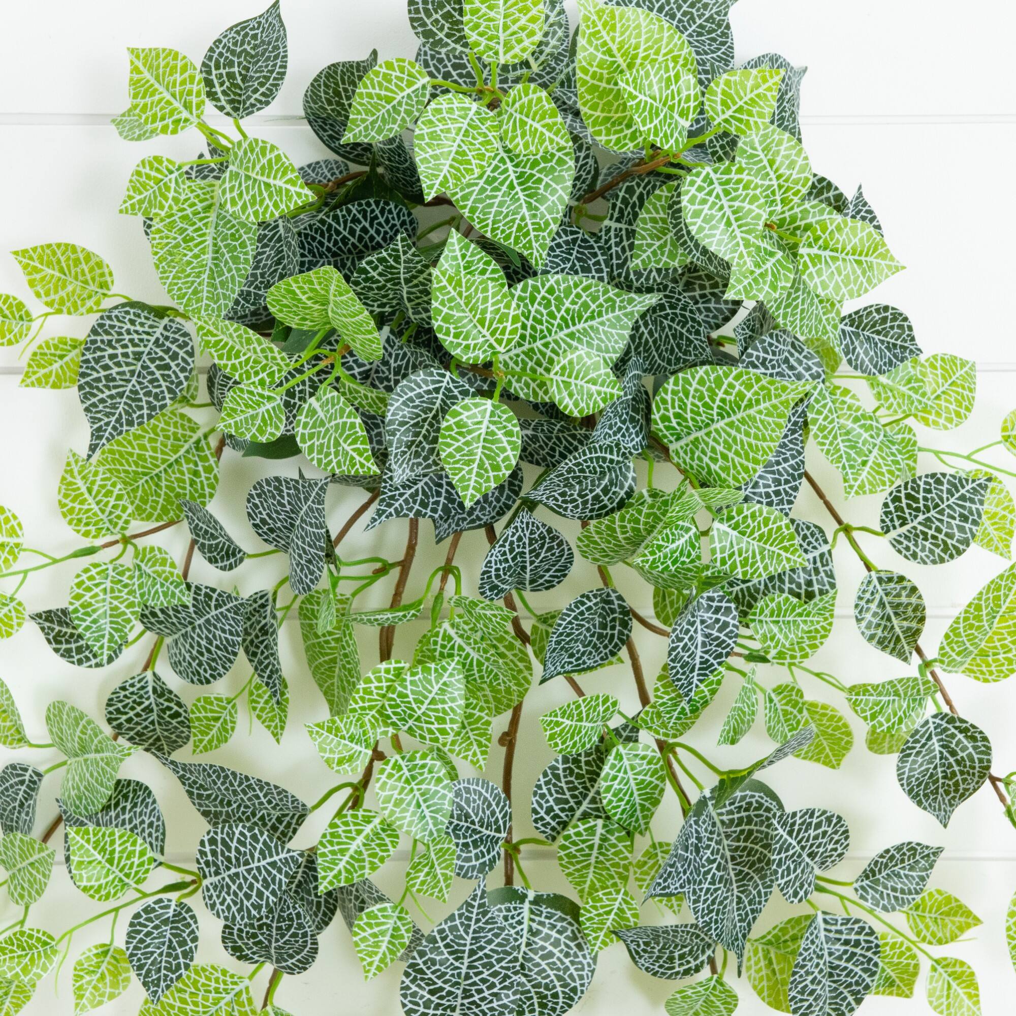41" UV Resistant Artificial Fittonia Hanging Plant (Indoor/Outdoor) - Set of 3